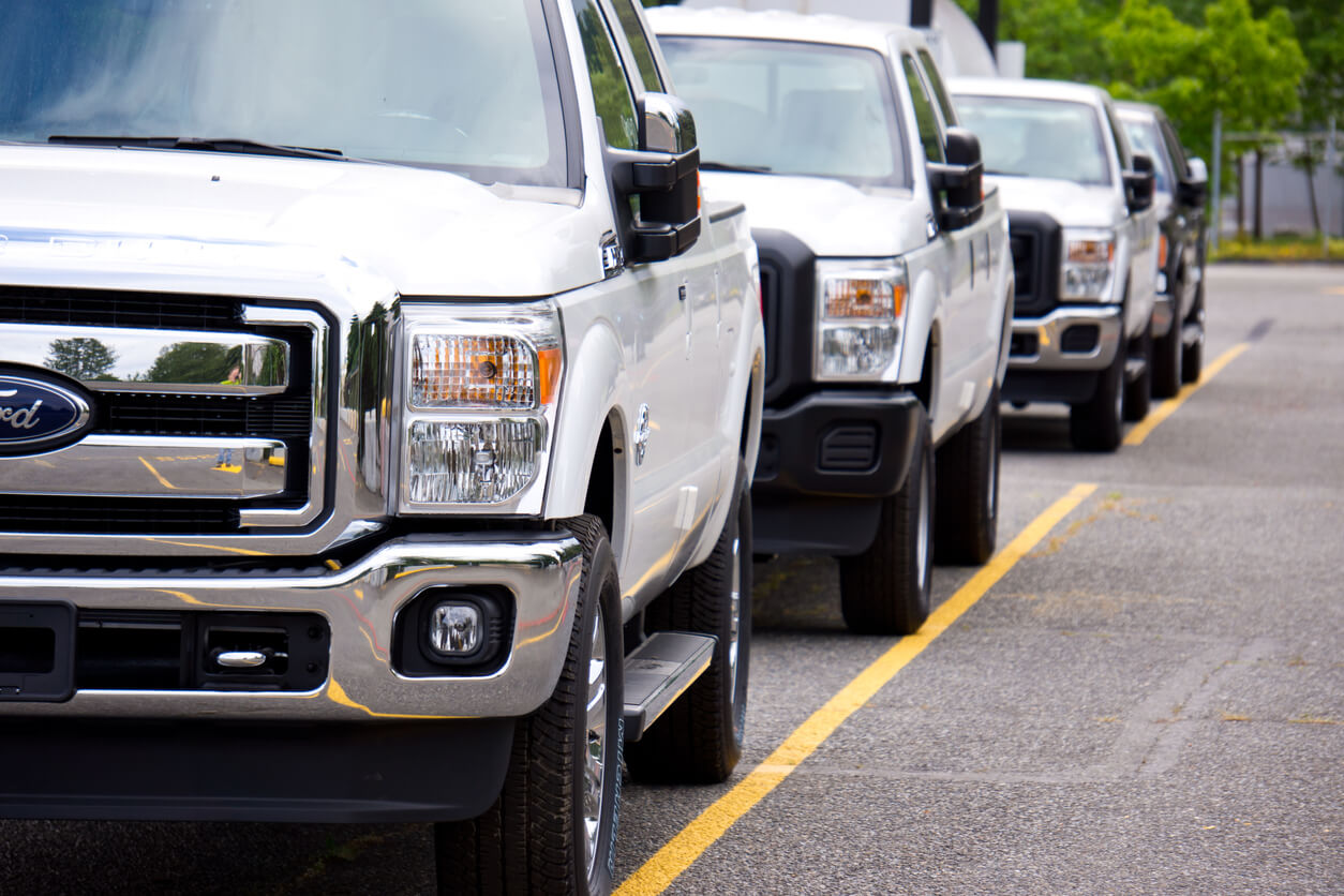 Ford trucks lined up.